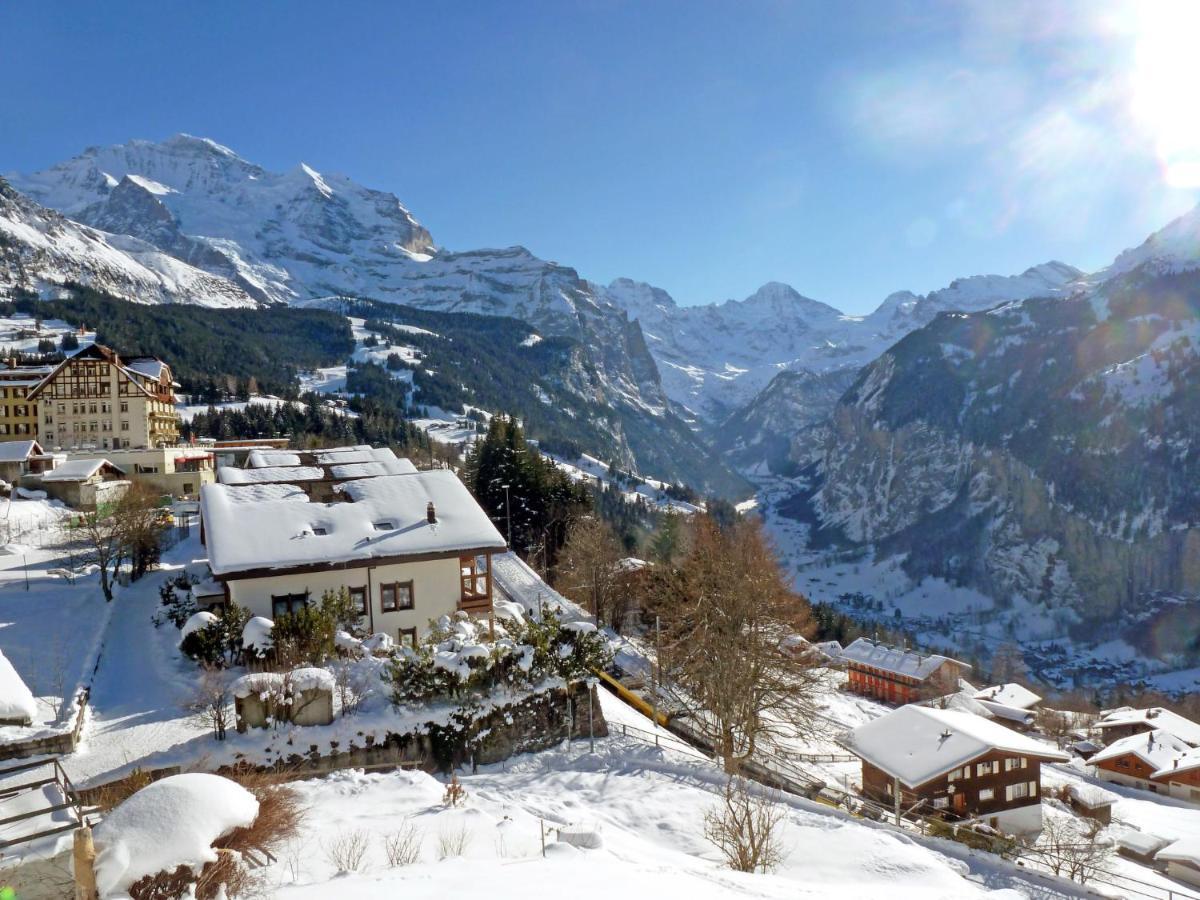 Apartment Panoramapark Soleil Haus D Apt 3 By Interhome Wengen Dış mekan fotoğraf