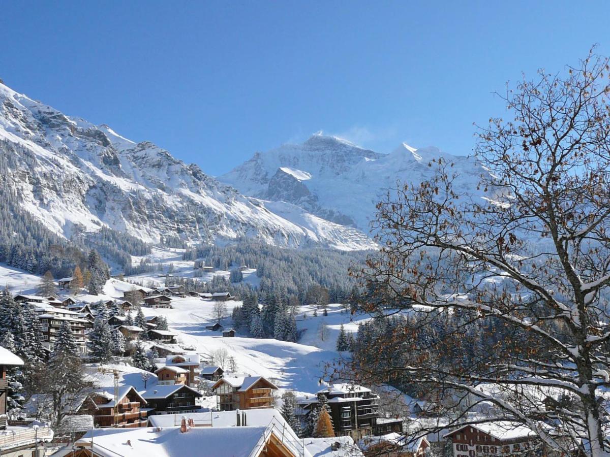 Apartment Panoramapark Soleil Haus D Apt 3 By Interhome Wengen Dış mekan fotoğraf