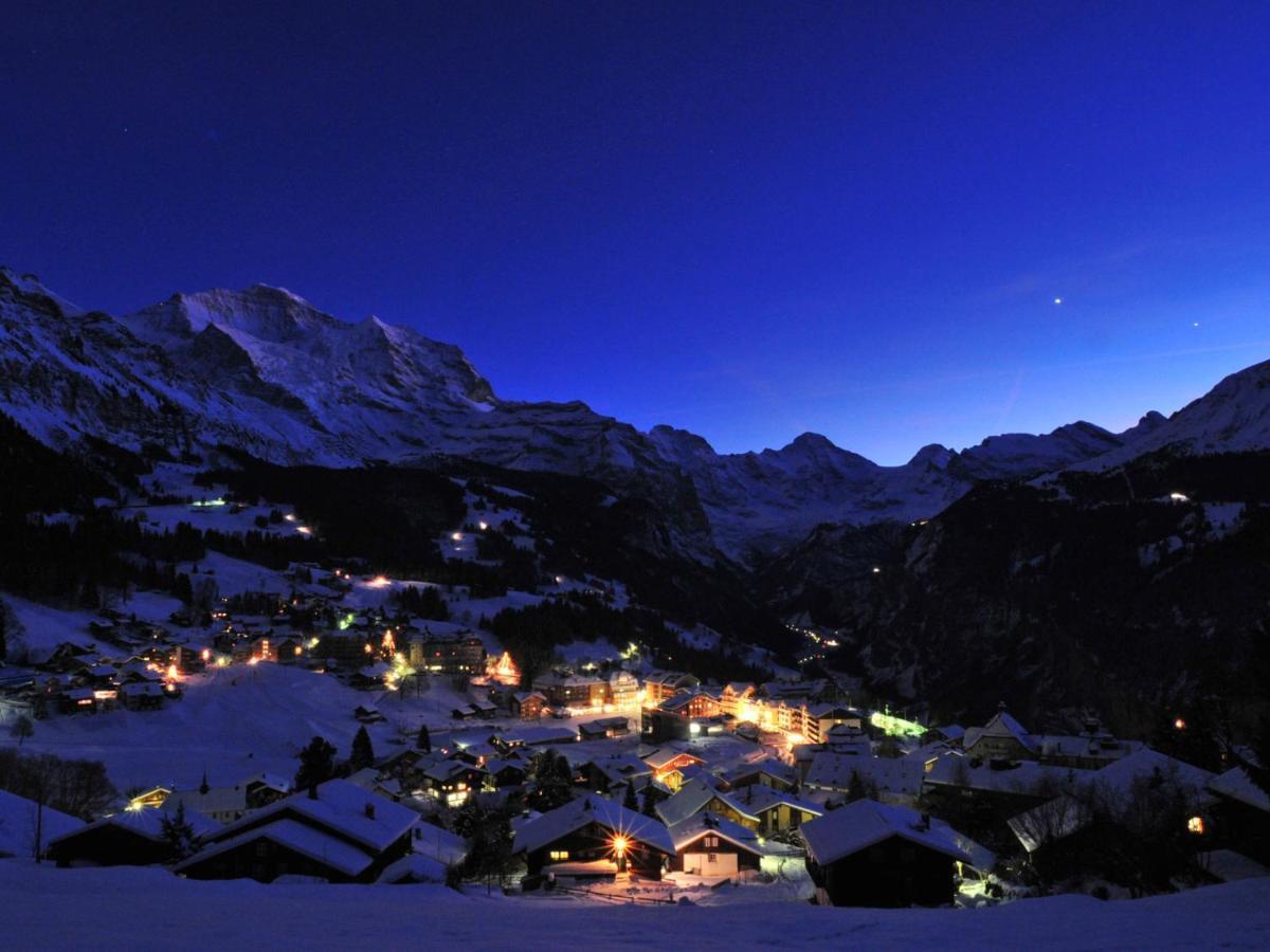 Apartment Panoramapark Soleil Haus D Apt 3 By Interhome Wengen Dış mekan fotoğraf