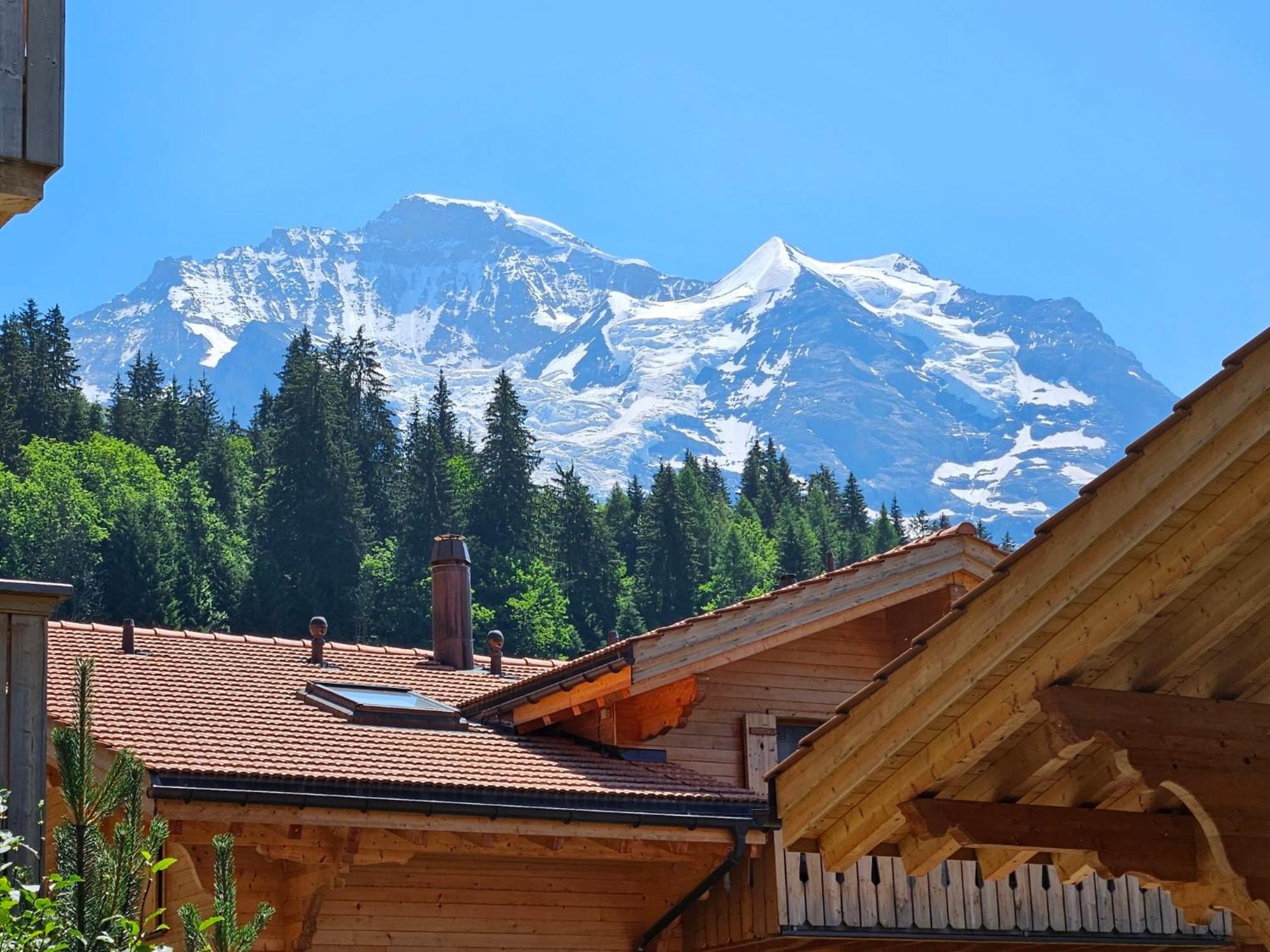 Apartment Panoramapark Soleil Haus D Apt 3 By Interhome Wengen Dış mekan fotoğraf