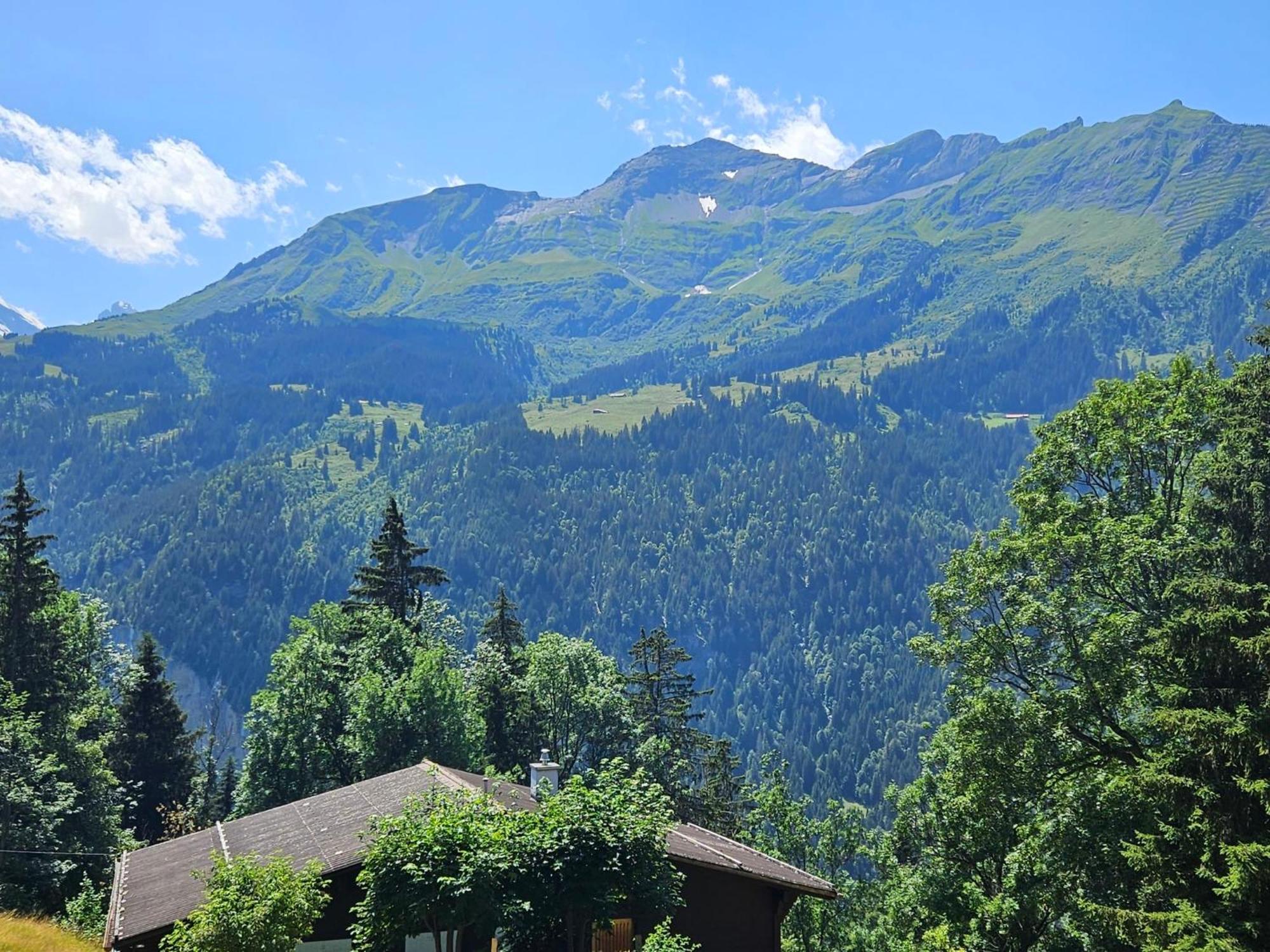 Apartment Panoramapark Soleil Haus D Apt 3 By Interhome Wengen Dış mekan fotoğraf