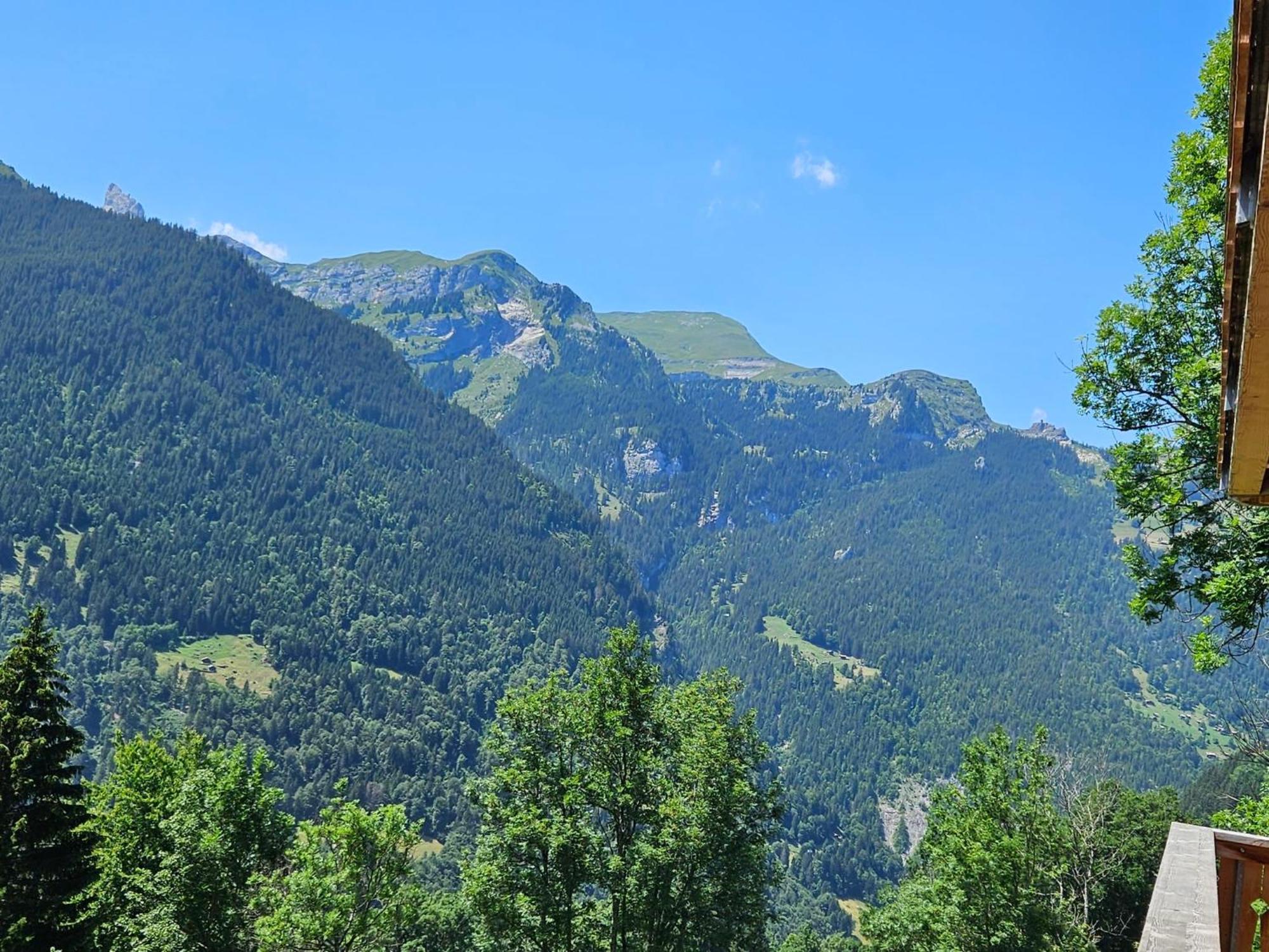 Apartment Panoramapark Soleil Haus D Apt 3 By Interhome Wengen Dış mekan fotoğraf