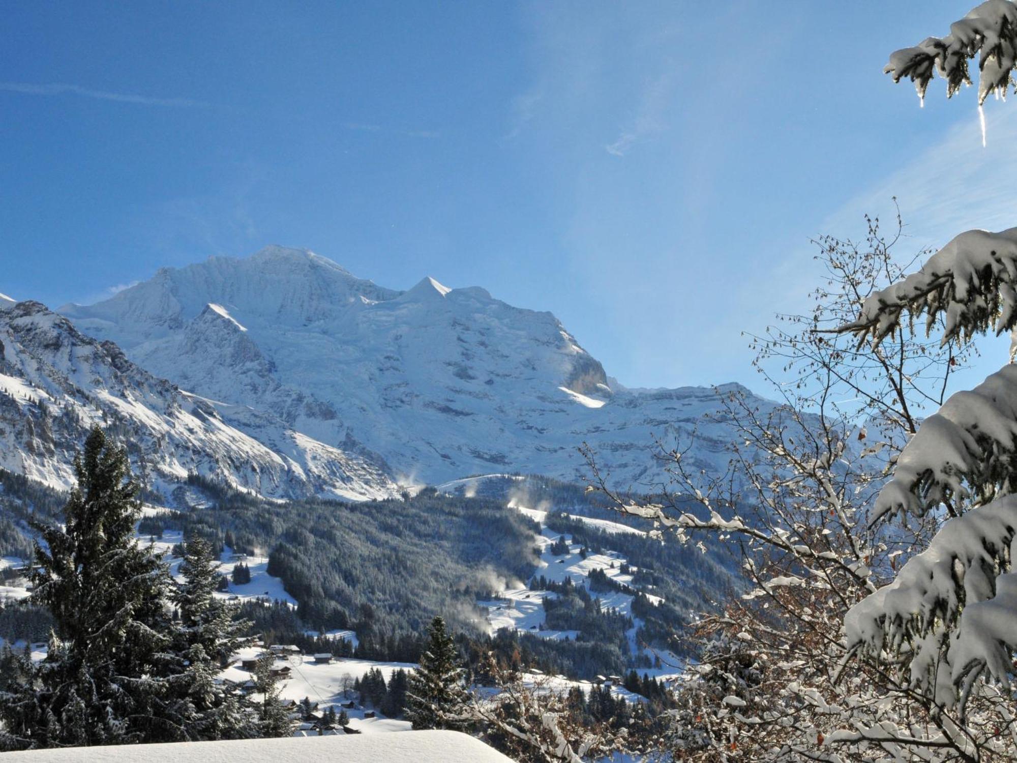 Apartment Panoramapark Soleil Haus D Apt 3 By Interhome Wengen Dış mekan fotoğraf